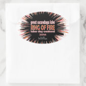 Feuerring 2016 ovaler aufkleber (Tasche)