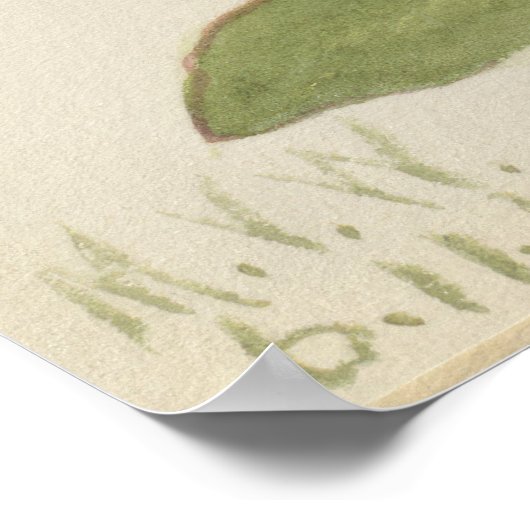 Feuerrosa (Silene virginica) Poster (Ecke)