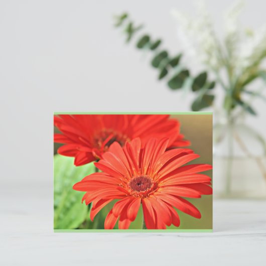Feuerrot Gerbera Daisy, farbenfrohe Blume Postkarte (Stehend Vorderseite)