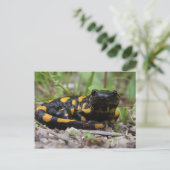 Feuersalamander Postkarte (Stehend Vorderseite)