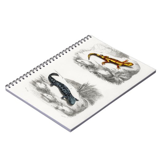 Feuersalamander und Hellbender Salamander Notizblock (Linke Seite)