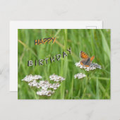 Feuerschmetterlingskust. Happy Birthday Postcard Postkarte (Vorne/Hinten)