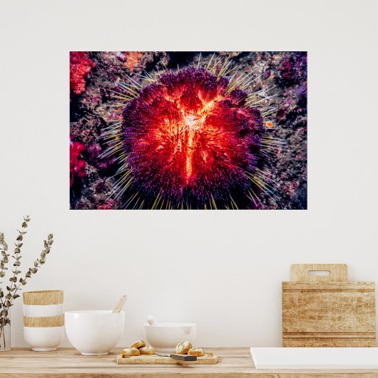 Feuerschwanz Poster (Küche)