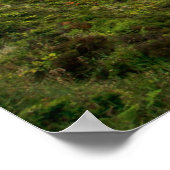 Feuersee, Azoren-Poster Poster (Ecke)