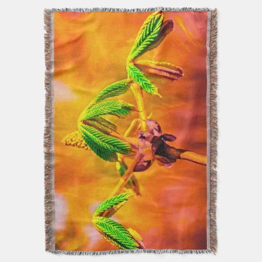 Feuertanz Decke (Vorderseite Vertikal)