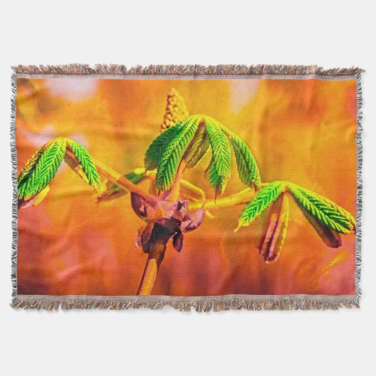 Feuertanz Decke (Vorderseite)