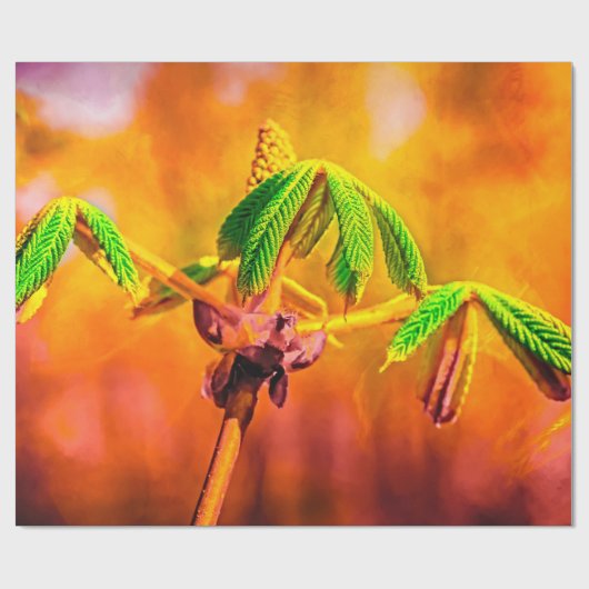 Feuertanz Geschenkpapier (Flach)