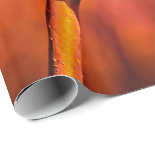 Feuertanz Geschenkpapier (Rolleneckpunkt)