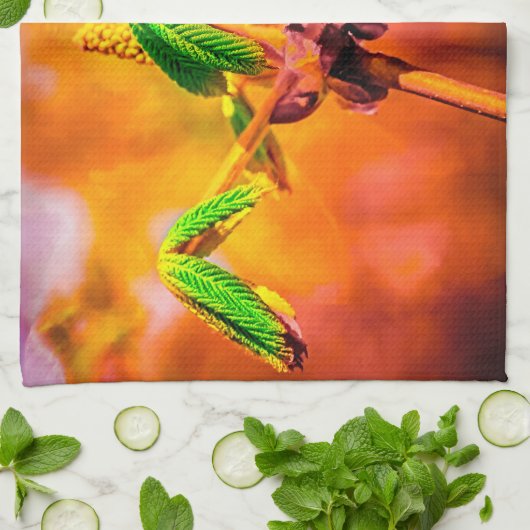 Feuertanz Handtuch (Gefaltet)