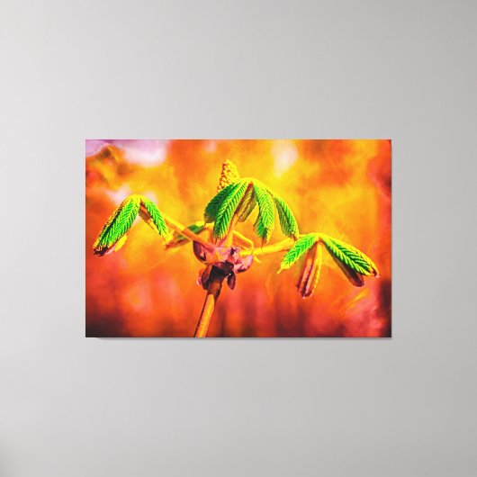 Feuertanz Leinwanddruck (Vorderseite)