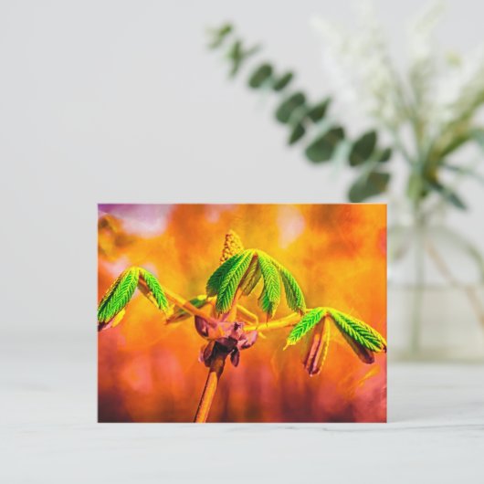 Feuertanz Postkarte (Stehend Vorderseite)