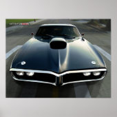 Feuervogel Poster (Vorne)