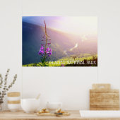 Feuerweh im Glacier-Nationalpark Poster (Küche)