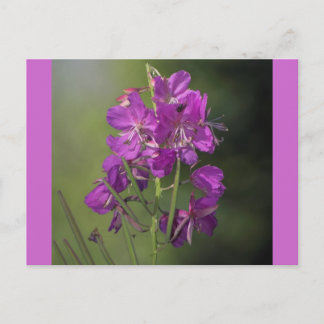 Feuerweh Postkarte