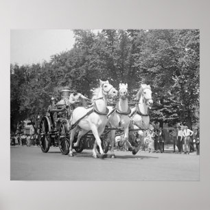 Feuerwehrpferde, 1925. Vintage-Foto Poster