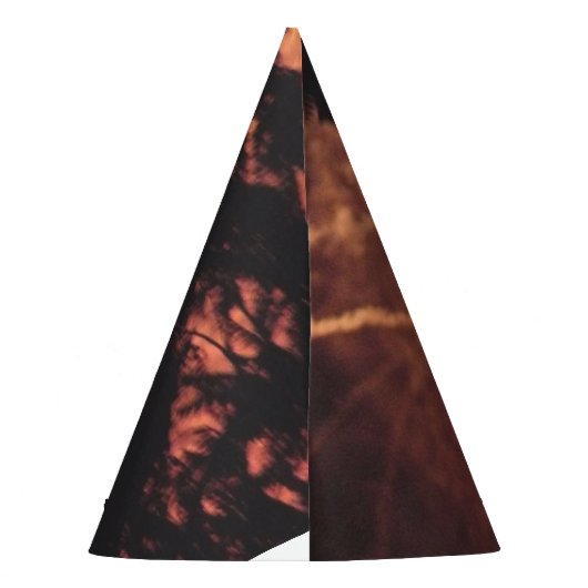 Feuerwerk 20 4. Juli Party Hut Partyhütchen (Rückseite)