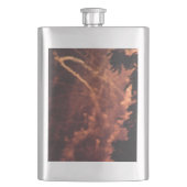 Feuerwerk 20 Messkolben aus rostfreiem Stahl Flachmann (Vorderseite)