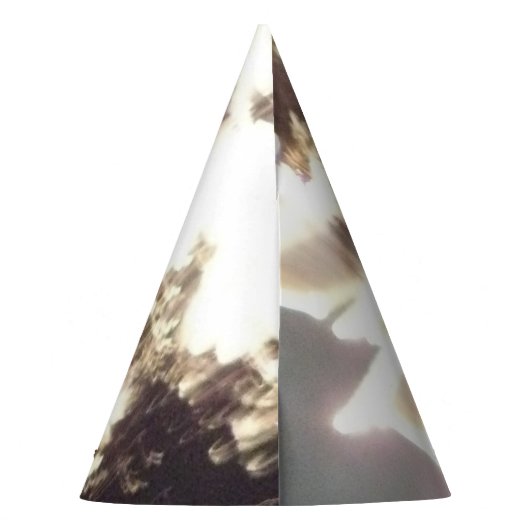 Feuerwerk 2 4. Juli Party Hut Partyhütchen (Rückseite)