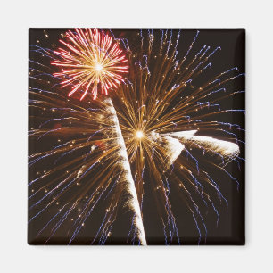 Feuerwerk am Savannah River Magnet