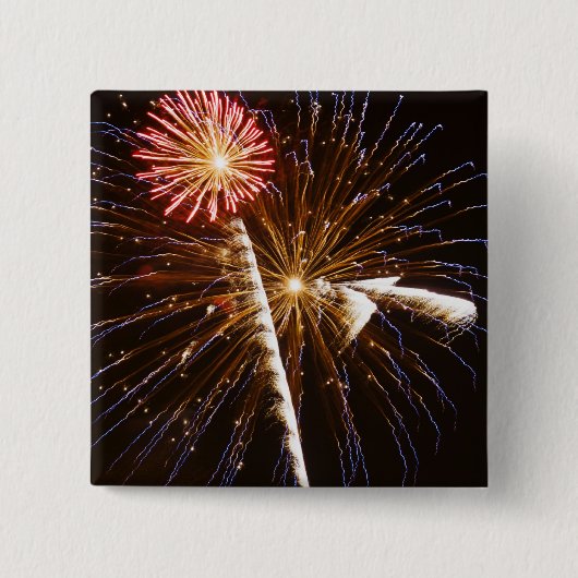Feuerwerk-Anzeige auf der Savannah River Button (Vorderseite)