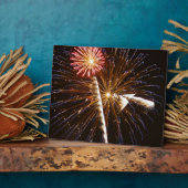 Feuerwerk-Anzeige auf der Savannah River Fotoplatte (Seite)