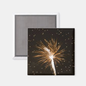 Feuerwerk-Anzeige auf der Savannah River Magnet (Vorderseite/Rückseite)