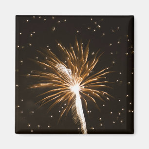 Feuerwerk-Anzeige auf der Savannah River Magnet