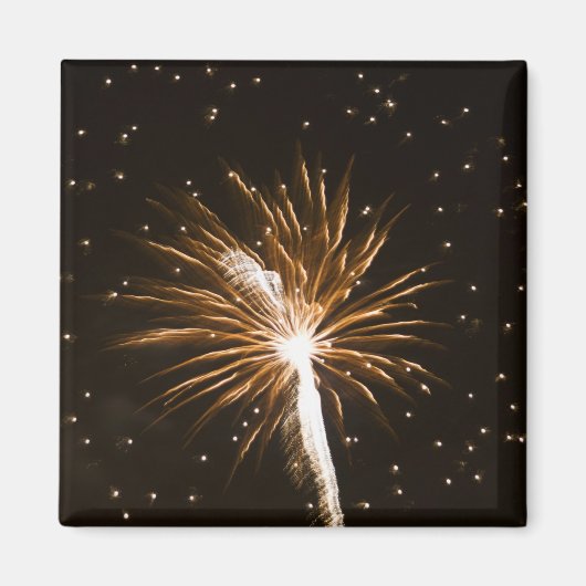 Feuerwerk-Anzeige auf der Savannah River Magnet (Vorne)
