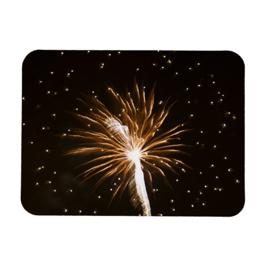 Feuerwerk-Anzeige auf der Savannah River Magnet (Horizontal)