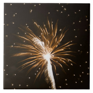 Feuerwerk auf dem Savannah River Fliese