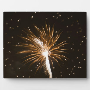 Feuerwerk auf dem Savannah River Fotoplatte