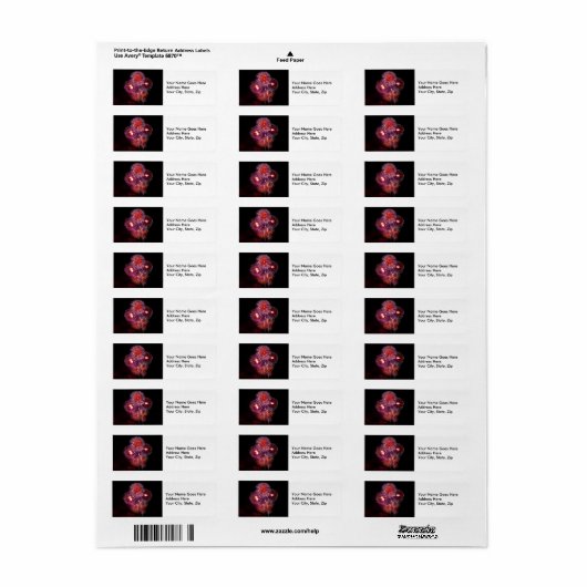 Feuerwerk-Feier (Vorne)