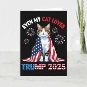 Feuerwerk Katze trägt US-Flagge Sogar meine Katze Karte