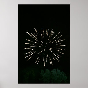 Feuerwerk mit Baum Poster