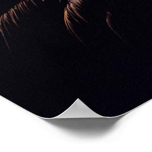 Feuerwerk-Poster Poster (Ecke)