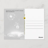 Feuerwerk über Cleveland Browns Stadium - Postkart Postkarte (Rückseite)