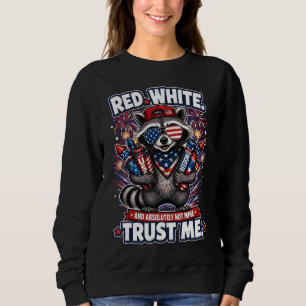 Feuerwerk-Waschbär-4.-Juli-Sweatshirts Sweatshirt