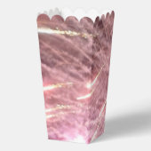 Feuerwerke 18 Popcorn-Boxen Geschenkschachtel (Rückseite)