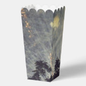 Feuerwerke 19 Popcorn-Boxen Geschenkschachtel (Rückseite)