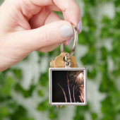 Feuerwerke erhellen das Memorial der Luftstreitkrä Schlüsselanhänger (Hand)