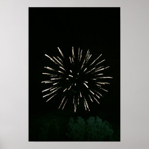 Feuerwerke mit Tree Poster
