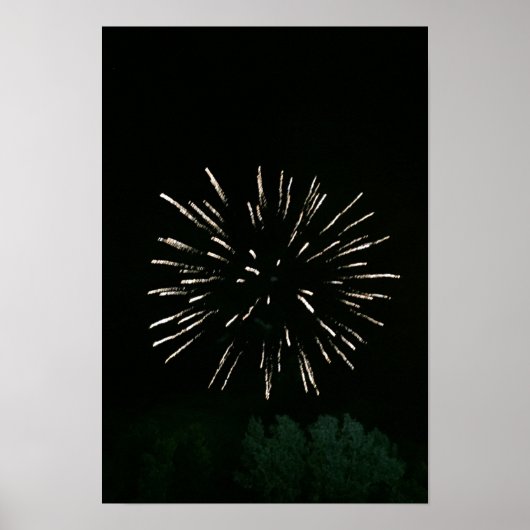 Feuerwerke mit Tree Poster (Vorne)