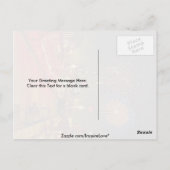 Feuerwerke, Ottawa, Ontario, Kanada Postkarte (Rückseite)