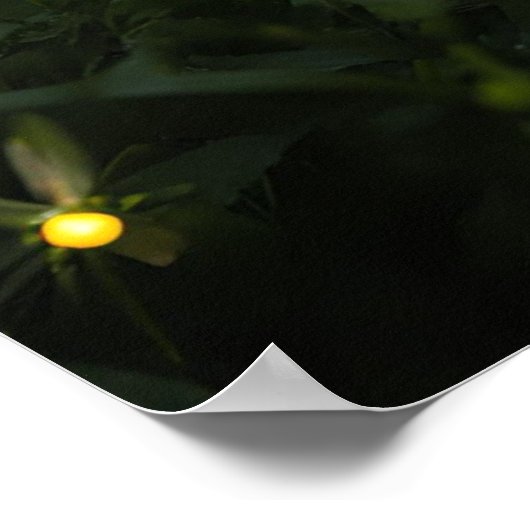 Feuerwerke unter den Sternen Poster (Ecke)