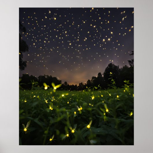 Feuerwerke unter den Sternen Poster (Vorne)