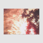 Feuerwerkskörper 12 Papiertaschentücher Seidenpapier (Vorderseite)