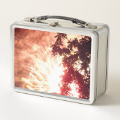 Feuerwerkskörper 12 rostfreie Lunchbox (Vorderseite)