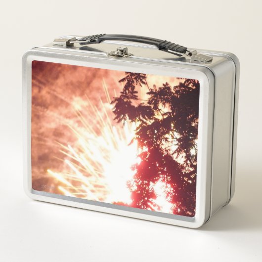 Feuerwerkskörper 12 rostfreie Lunchbox (Vorderseite)