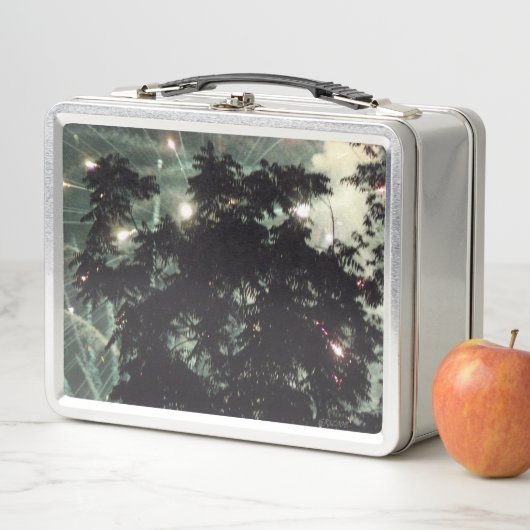 Feuerwerkskörper 13 rostfreie Lunchbox (Beispiel)