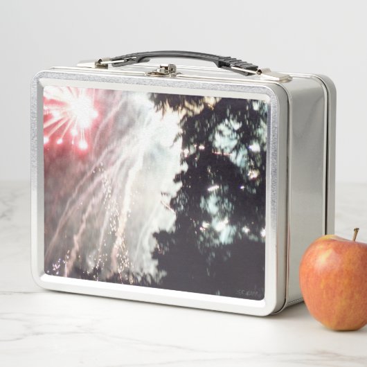 Feuerwerkskörper 14 rostfreie Lunchbox (Beispiel)